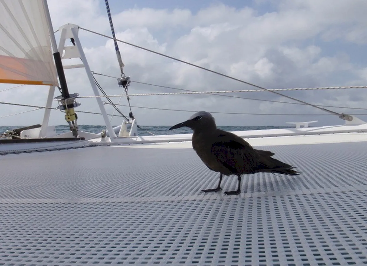 mouillage bateau croisère asie